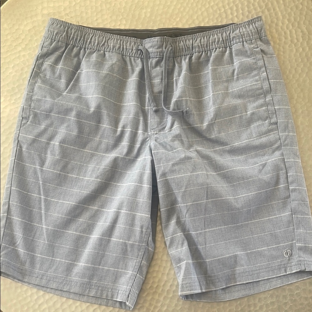 Hang Ten Men's Gray Striped Swim Shorts